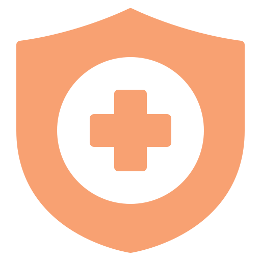 Health Plan Icon